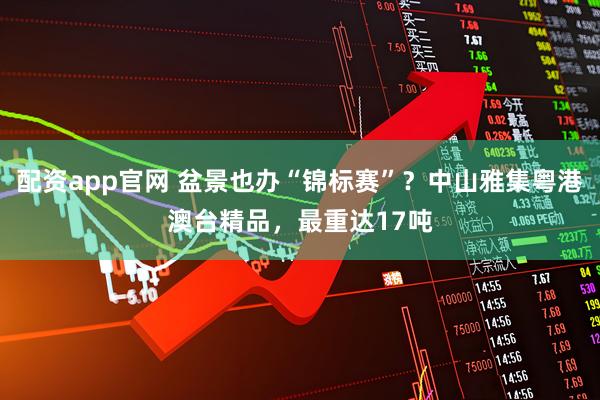 配资app官网 盆景也办“锦标赛”？中山雅集粤港澳台精品，最重达17吨